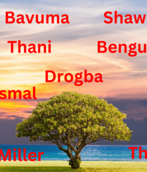 African surnames list