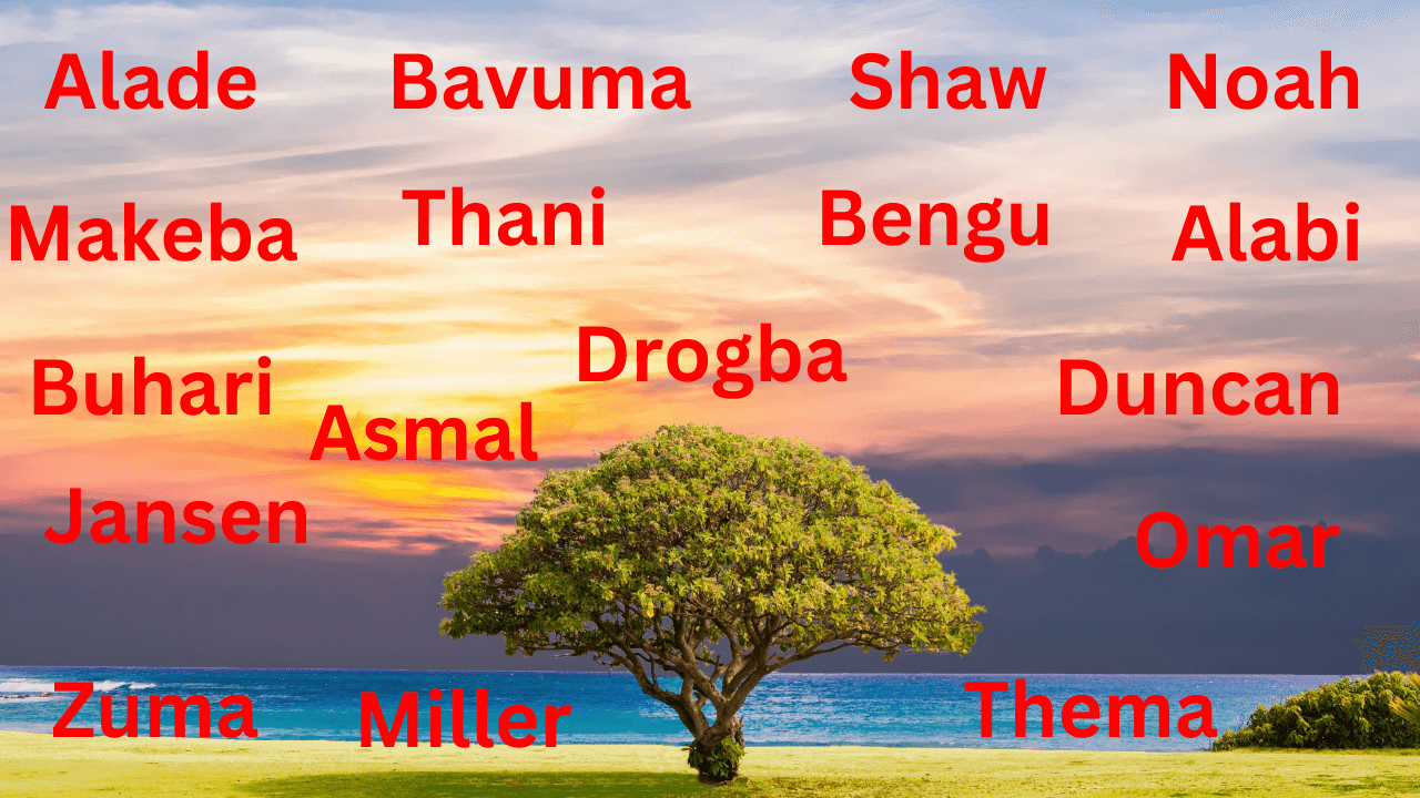 a-complete-list-of-african-last-names-meanings-50-off