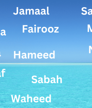 Maldives Last Names Maldives Last Names
