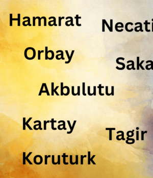 Turkish surnames Turkish surnames