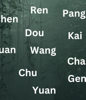 Chinese Surnames