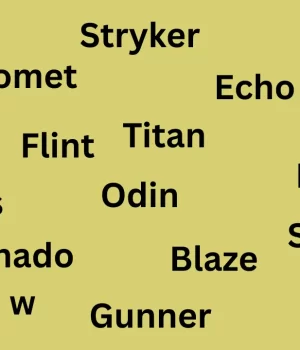 Male Names For Dogs